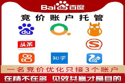 专业SEM托管：企业广告投放的明智之选